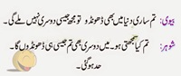 Meray jaisi doosri biwi dhoondo